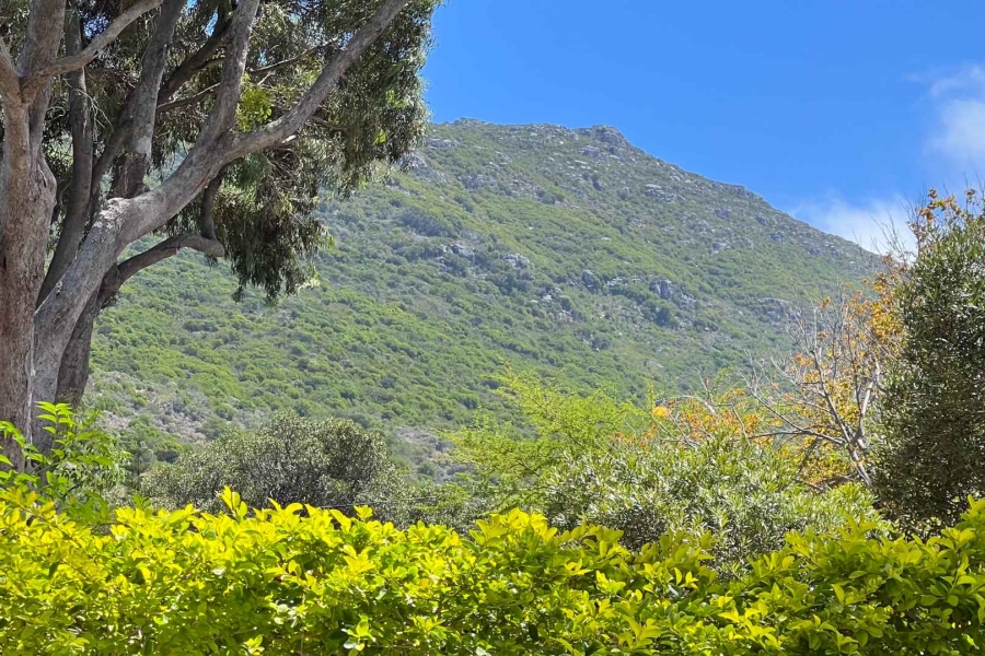 0 Bedroom Property for Sale in Hout Bay Western Cape